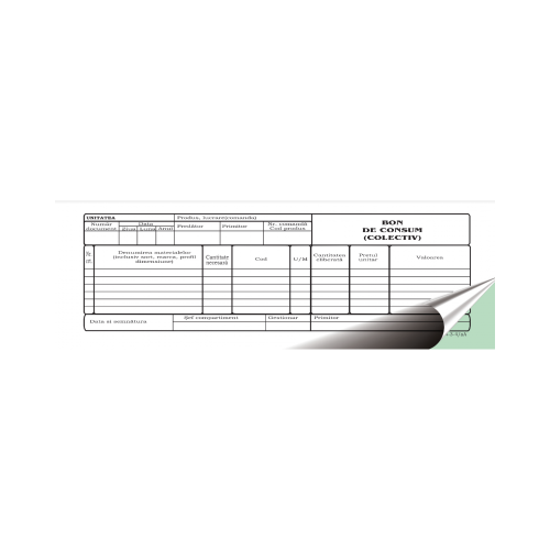 Tipizat - bon consum colectiv - 12 A4 landscape 2 exemplare autocopiativ carnet 50 seturi