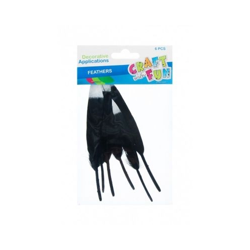 Accesorii creatie - pene negru argintiu 12-15cm set 6 buc Craft with Fun 463663