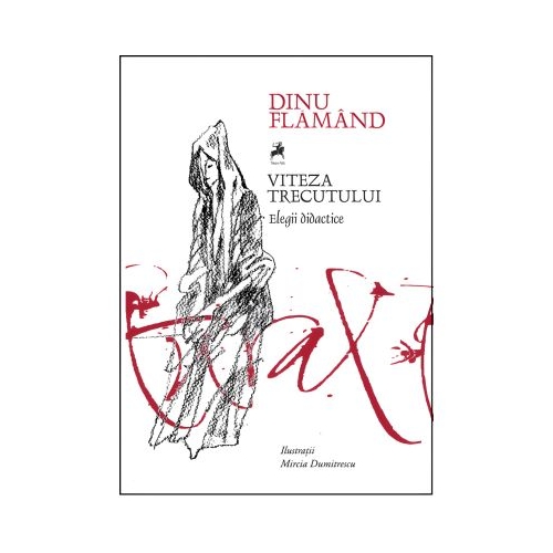 Viteza trecutului - Dinu Flamand