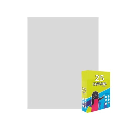 Carton colorat Fabrisa 15568123 50x65cm 180gmp gri pastel top 25 coli