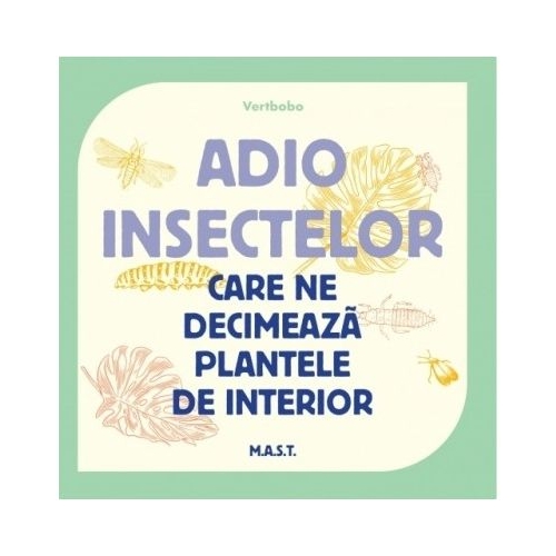 Adio insectelor care ne decimeaz plantele de interior -Vertbobo