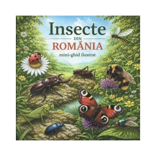 Insecte din Romania. Mini-ghid ilustrat