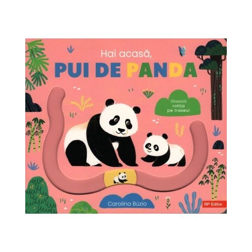 Hai acasa, pui de panda - Carolina Buzio