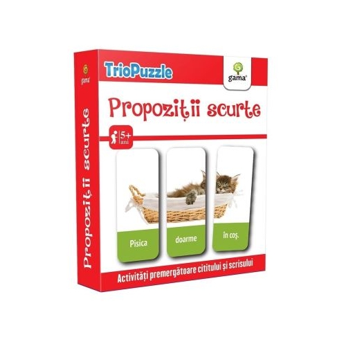 Propozitii scurte. TrioPuzzle