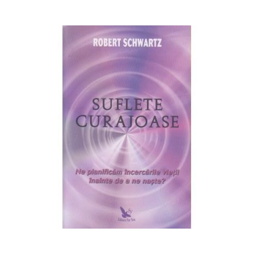 Suflete curajoase. Ne planificam incercarile vietii, inainte de a ne naste? - Robert Schwartz Spiritualitate For You grupdzc