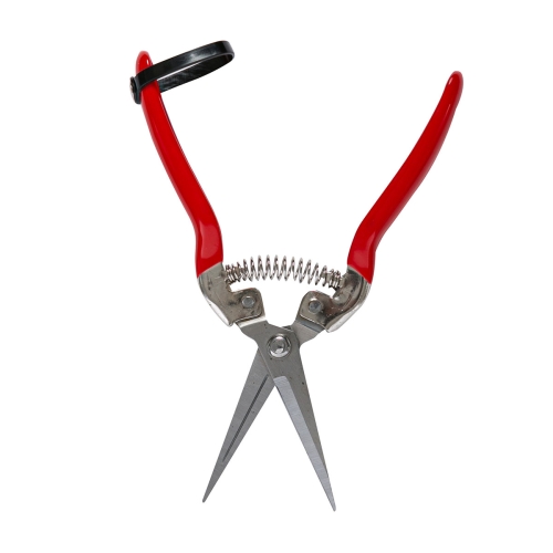 Foarfece de cules legume/fructe 60mm dreapta