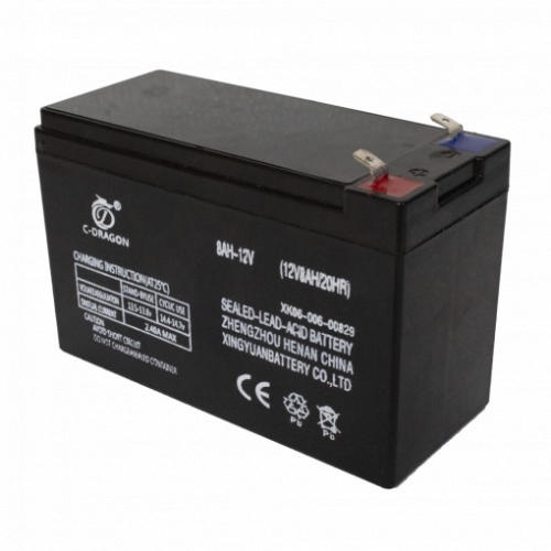 ACUMULATOR 12V PENTRU POMPA DE STROPIT