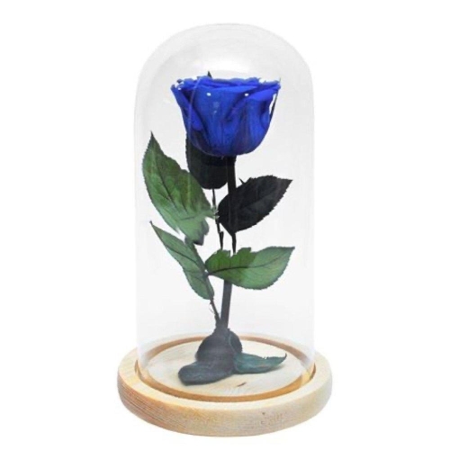 Kdeco  Trandafir Criogenat Lux XL Albastru (Ø=6,5CM) I in cupola sticla (12X25CM)