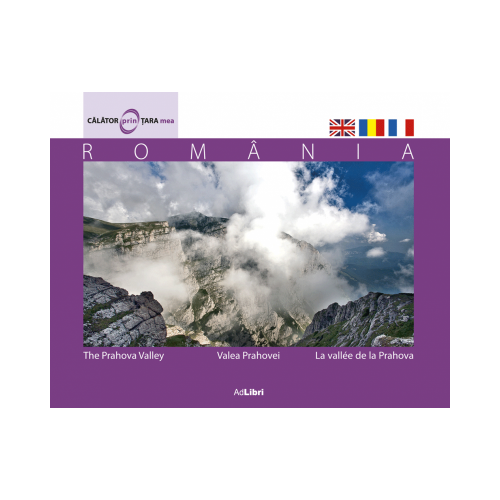 Album Valea Prahovei - Florin Andreescu