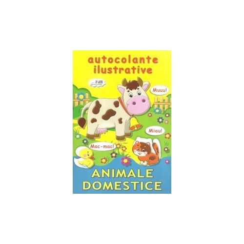 Comunicare in limba romana. Caiet de scriere pentru clasa 1 - Cristian-George Paraiala, Euristica, Auxiliare Clasa 1