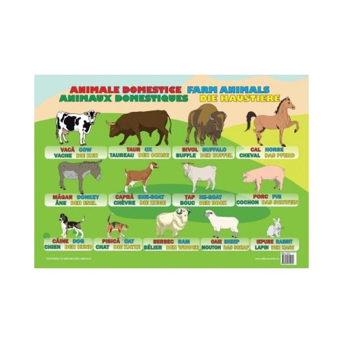 Animale Domestice - Plansa educativa, editura Ars Libri