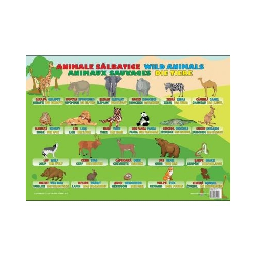 Animale Salbatice - Plansa educativa, editura Ars Libri