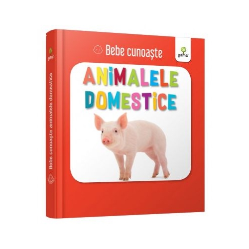 Animalele domestice. Bebe Cunoaste