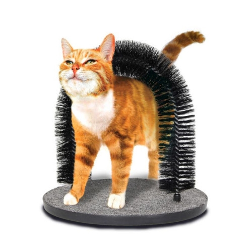 Ansamblu Pisici  Periaj Arc 28x35 cm MIAU MIAU