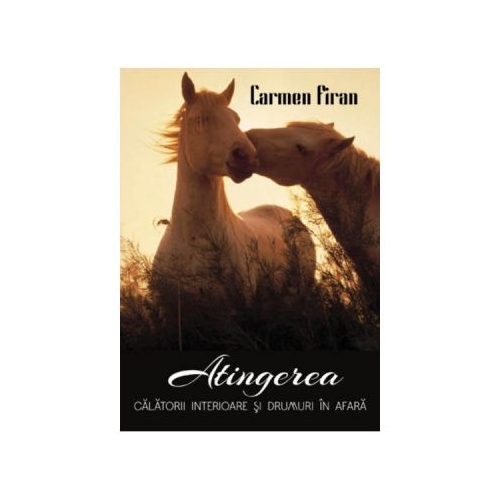Atingerea - Carmen Firan