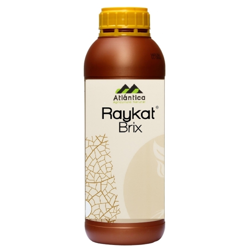 Ingrasamant biostimulant pt. marirea procentului de zahar si gust RAYKAT Brix 1 L