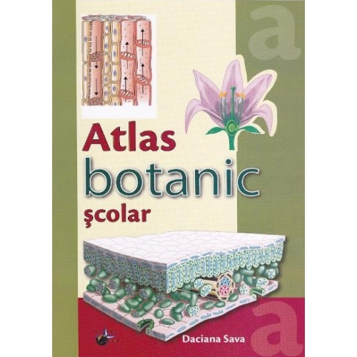 Atlas Botanic Ilustrat Color - Sava Daciana Enciclopedii Dictionare si Atlase Steaua Nordului grupdzc