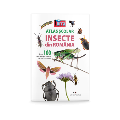 Atlas scolar. Insecte din Romania