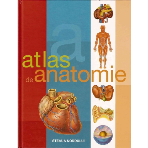 Atlas de anatomie Atlas anatomie Steaua Nordului grupdzc