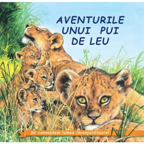Aventurile uniu pui de Leuï»¿ - Sa cunoastem lumea inconjuratoare!, editura Bibilion