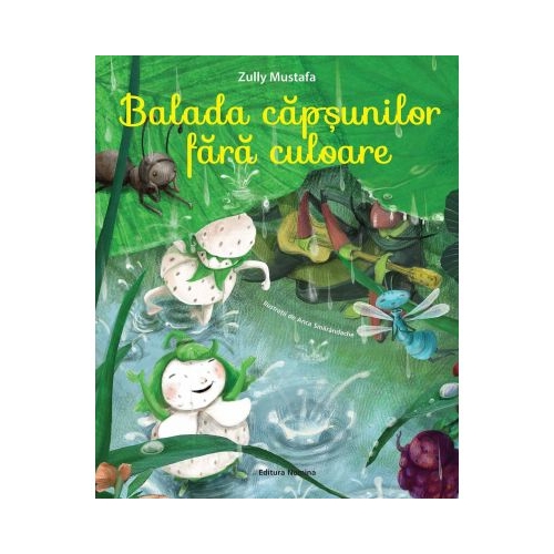 Balada capsunilor fara culoare - Zully Mustafa