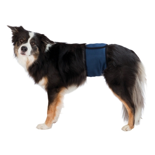 Banda Incontinenta Urinara Pentru Caini Masculi, L: 55-65 cm, Albastru, Trixie 23664
