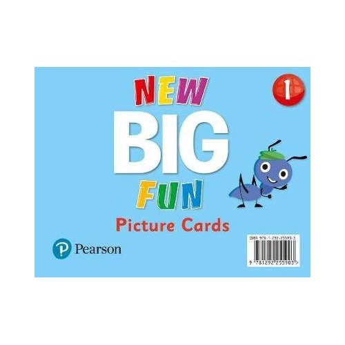 Big Fun Refresh Level 1 Picture Cards