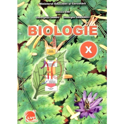 Manual Biologie pentru clasa a 10-a - Stelica Ene Biologie Clasa 10 LVS Crepuscul