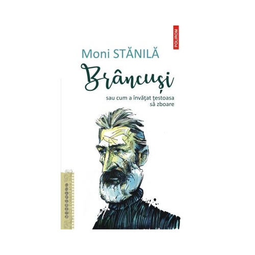 Brancusi sau cum a invatat testoasa sa zboare - Moni Stanila