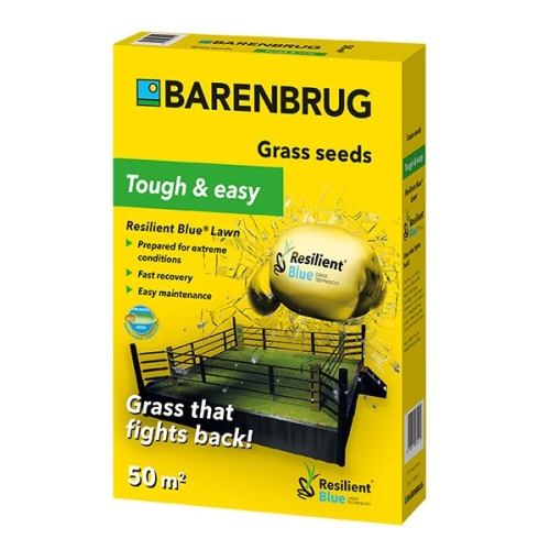 Seminte gazon Resilient Lawn,1 kg, Barenbrug