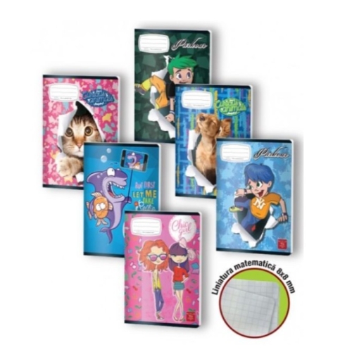 Caiet special A5 Pigna, 24 file, geometrie, colturi rotunjite, 80g/mp, liniatura 8x8 mm