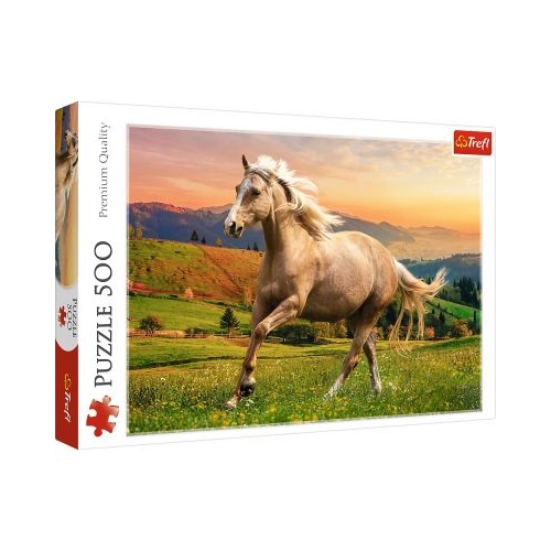 Puzzle cal la galop in asfintit