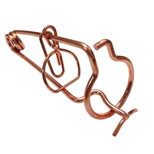 Capcana Anti-Cartita