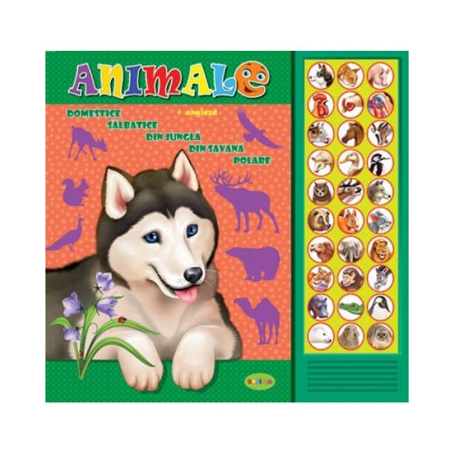 Carte cu sunete. Animale. Romana + engleza - Inesa Tautu, editura Dorinta. Carte educativa pentru copii.