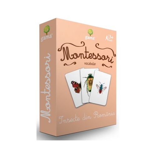 Insecte din Romania. Carti de joc Montessori vocabular Carti pentru copii Gama