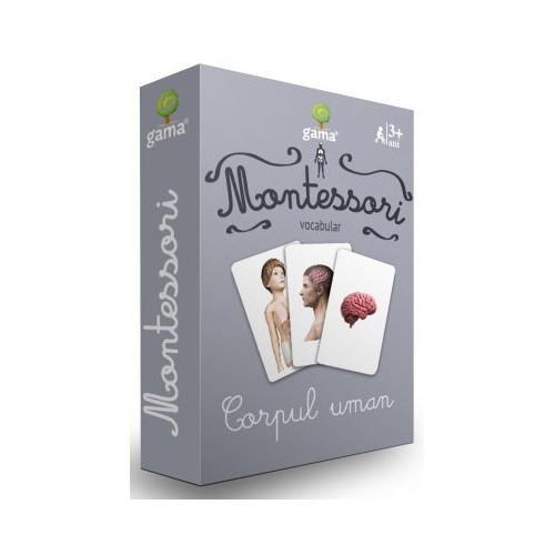 Carti de joc Montessori. Corpul uman Carti pentru copii Gama grupdzc
