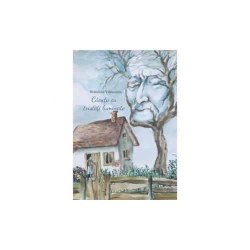 Casuta cu tristeti luminate - Brandusa Vranceanu Carti pentru copii Nepsis