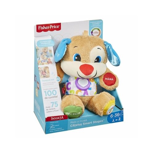 Catelusul vorbitor si educativ, limba romana, Fisher Price