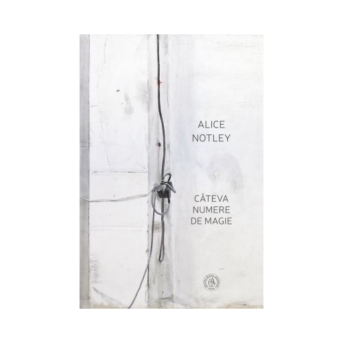 Cateva numere de magie - Alice Notley