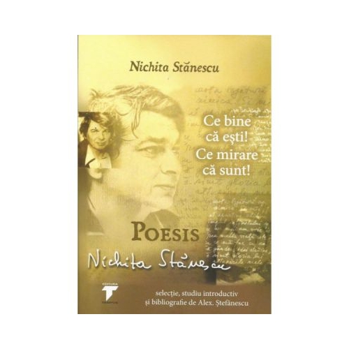 Ce bine ca esti! Ce mirare ca sunt! Poesis (Nichita Stanescu)