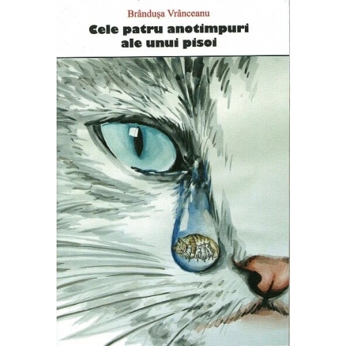 Cele patru anotimpuri ale unui pisoi - Brandusa Vranceanu Povesti pentru copii Nepsis