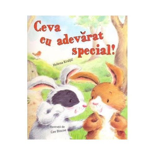 Ceva cu adevarat special! - Helena Kraljic, editura Didactica Publishing House