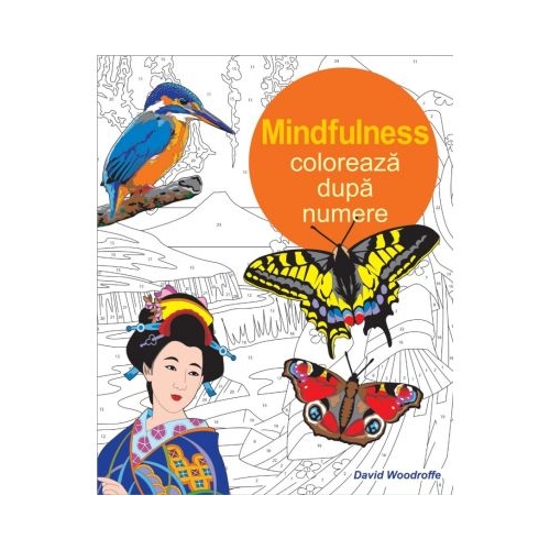 Coloreaza dupa numere. Mindfulness - David Woodroffe, editura Didactica Publishing House