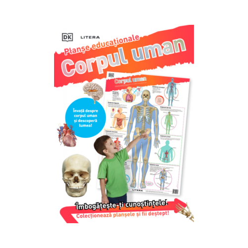 Corpul uman. Planse educationale