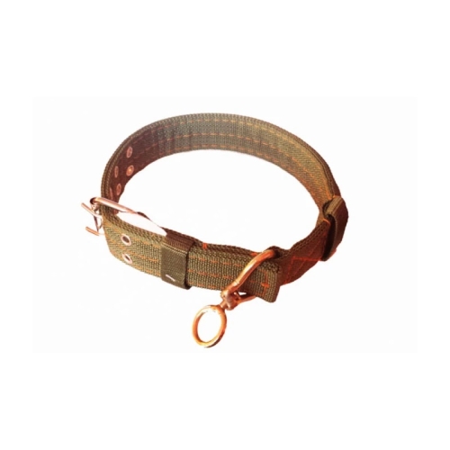 Curea caine MATERIAL VERDE 12buc/set