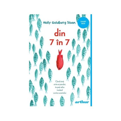 Din 7 in 7. Paperback - Holly Goldberg Sloan