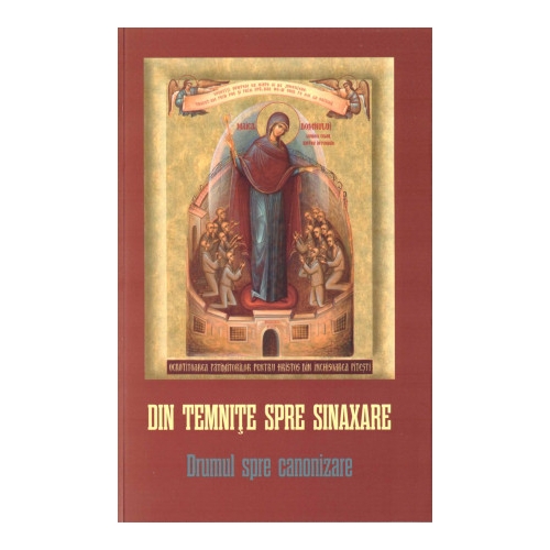 Din temnite spre sinaxare - Danion Vasile