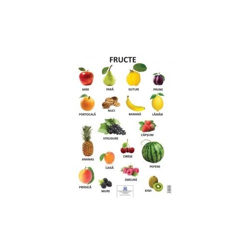 Plansa Fructe, editura Didactica Publishing House