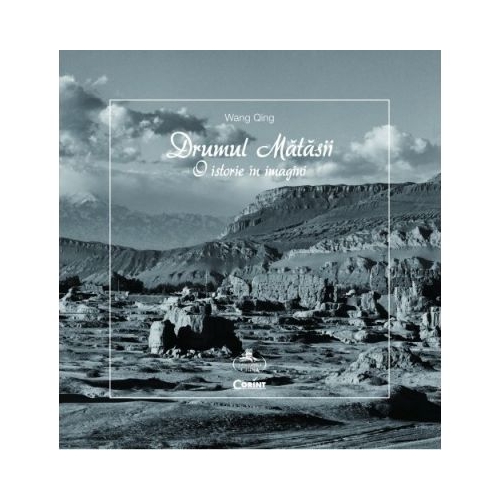 Drumul matasii. O istorie in imagini - Wang Qing