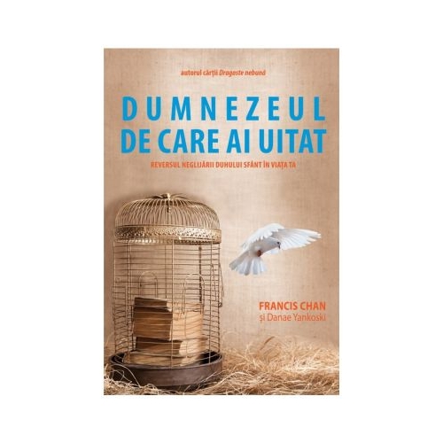 Dumnezeul de care ai uitat. Reversul neglijarii Duhului Sfant in viata ta - Francis Chan, Danae Yankoski